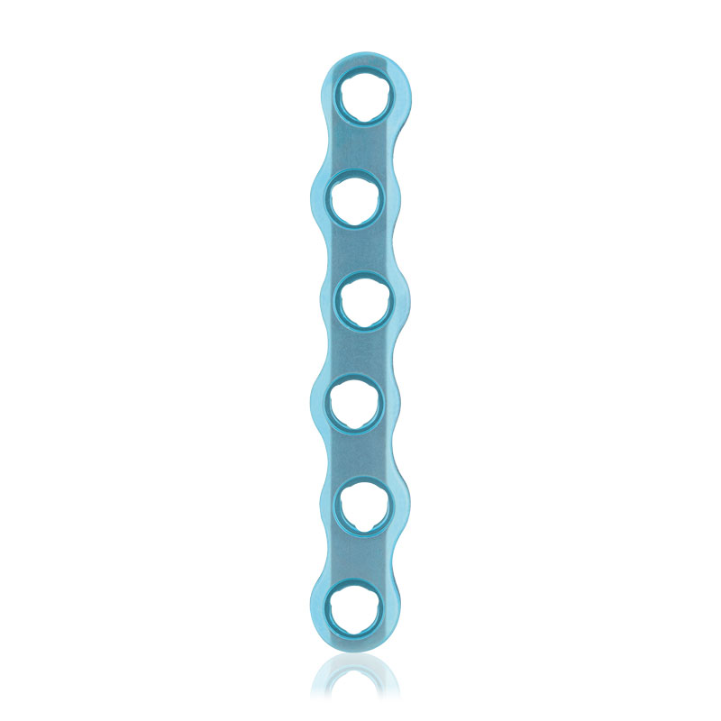 6 huller, 60 x 10 x 4mm